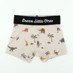 Take Flight Blue, Prehistoric Dinosaurs and Trash Truck Small Ribbed Brief 3 pack