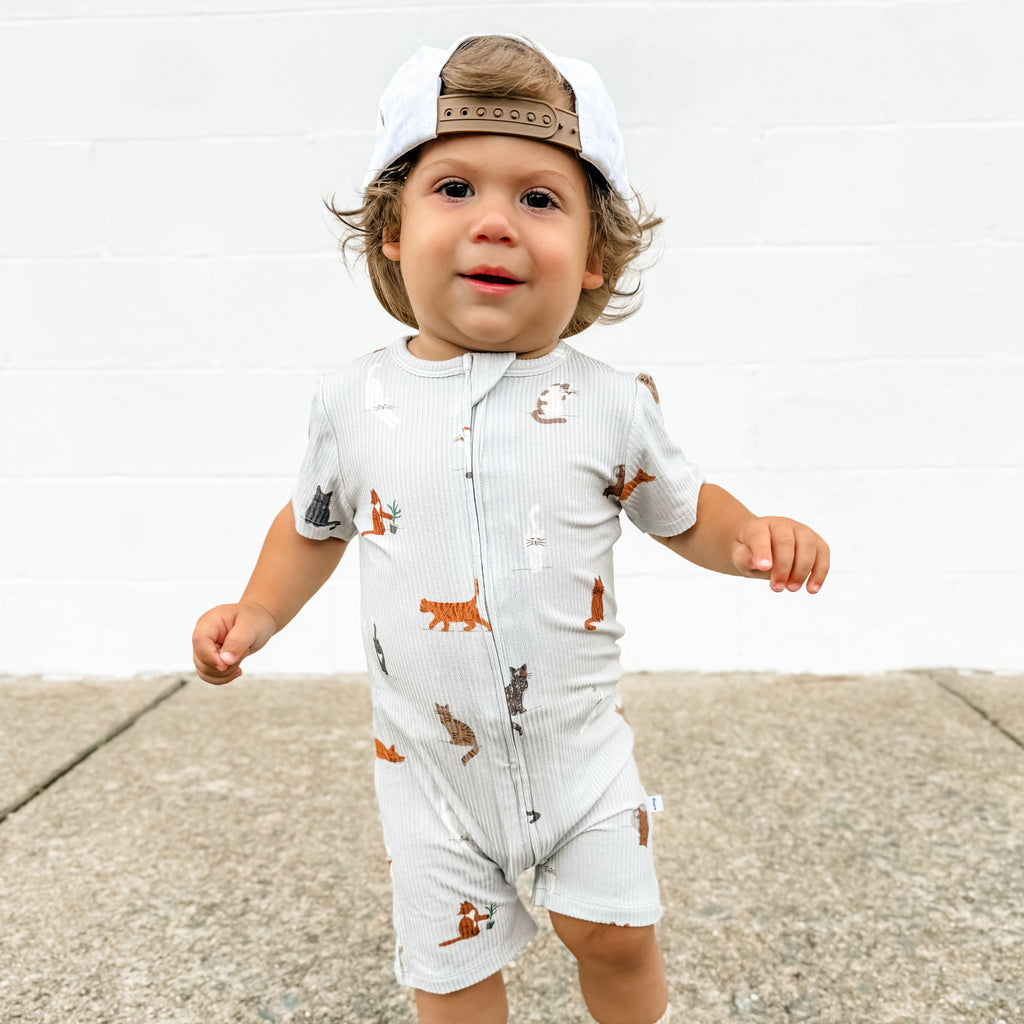 Cats Gray Small Ribbed Summer Zip Romper