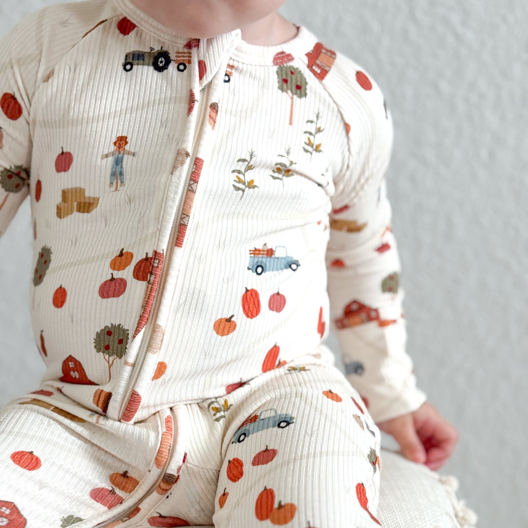 Pumpkin Patch Small Ribbed Zip Romper