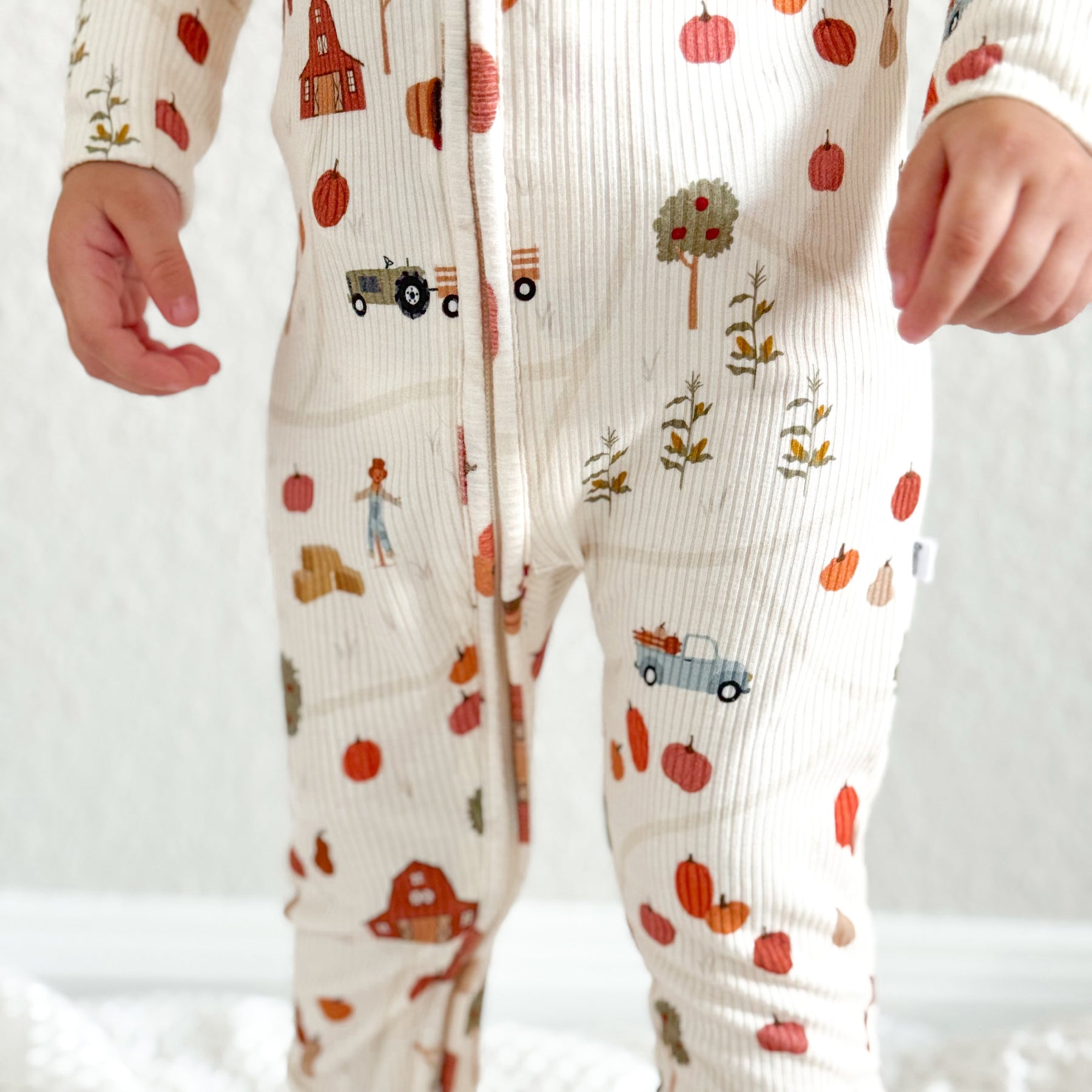 Pumpkin Patch Small Ribbed Zip Romper