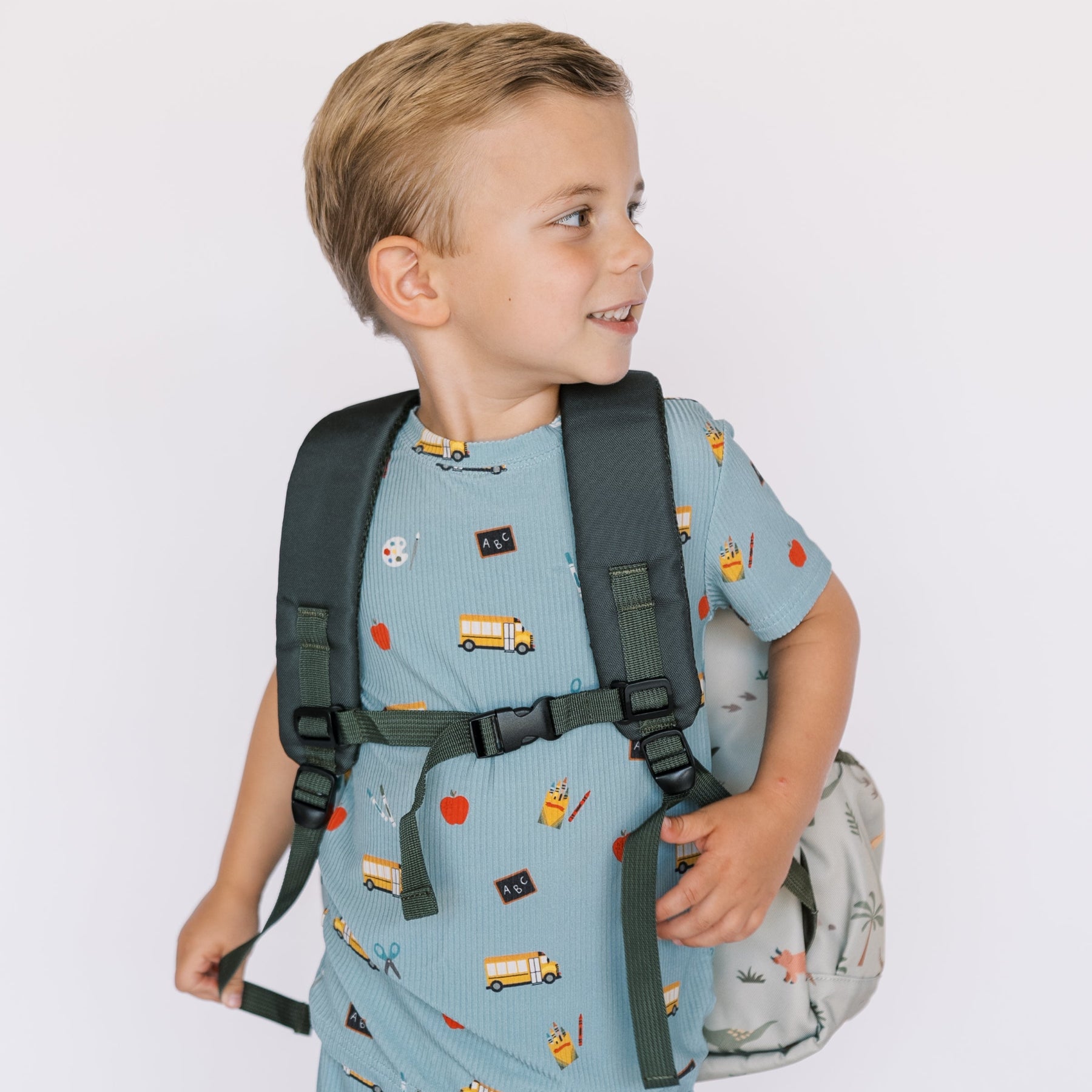 Prehistoric Dinosaurs Standard Backpack