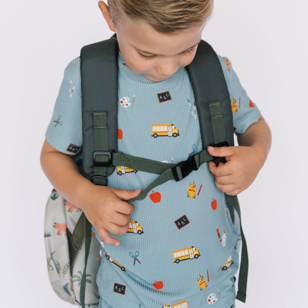 Prehistoric Dinosaurs Standard Backpack