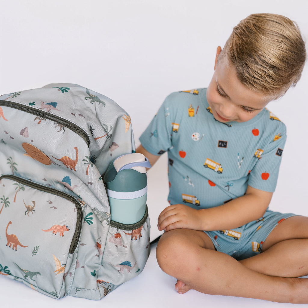 Prehistoric Dinosaurs Standard Backpack