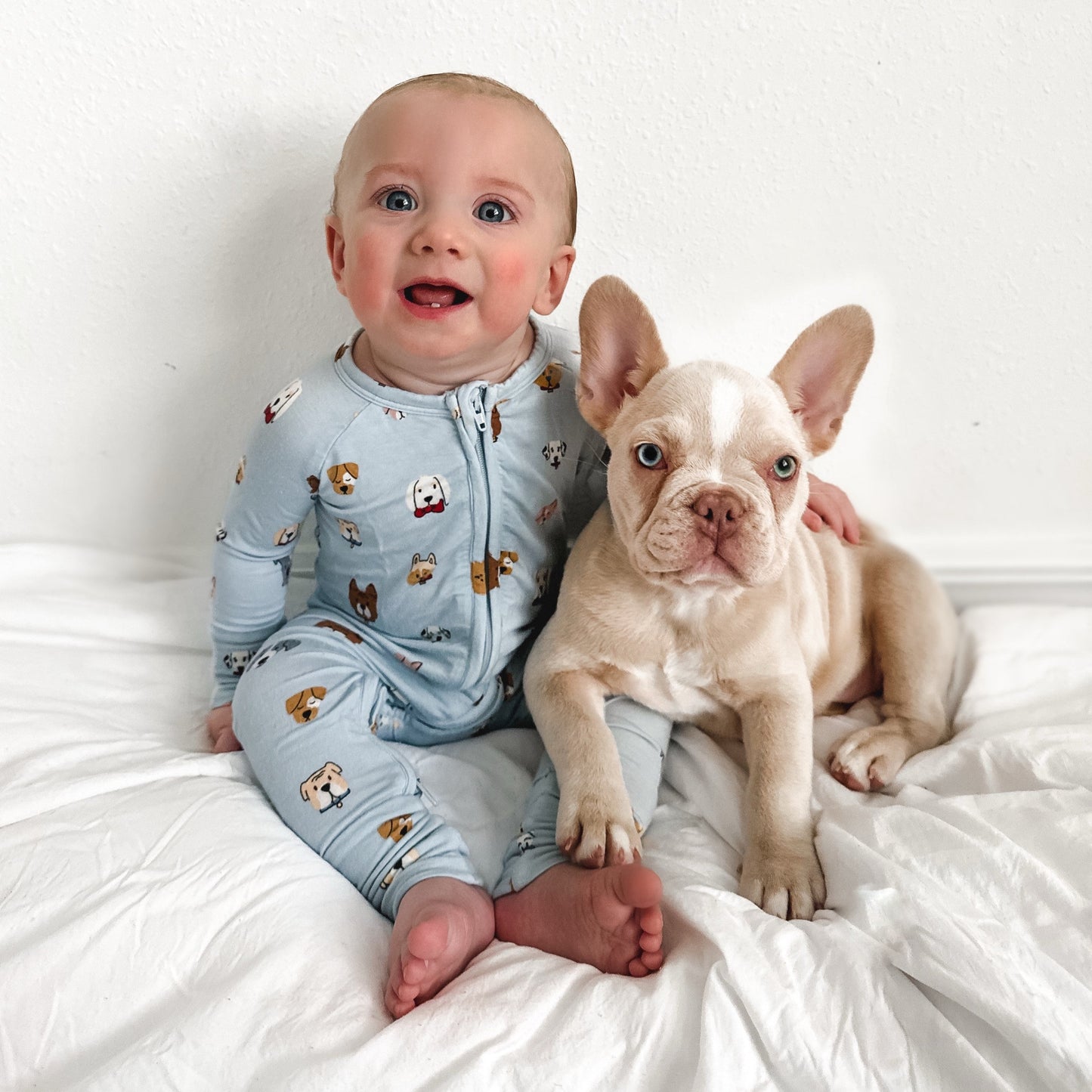 Dogs Light Blue Zip Romper