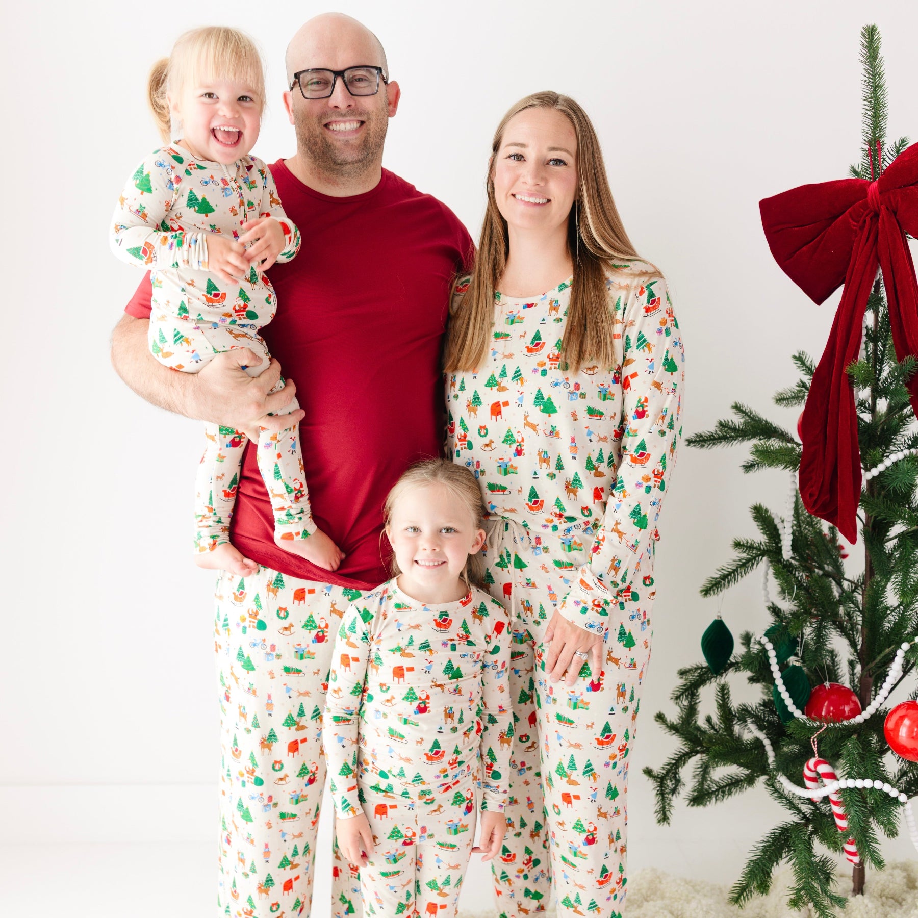 Santa's Workshop Men's Pants