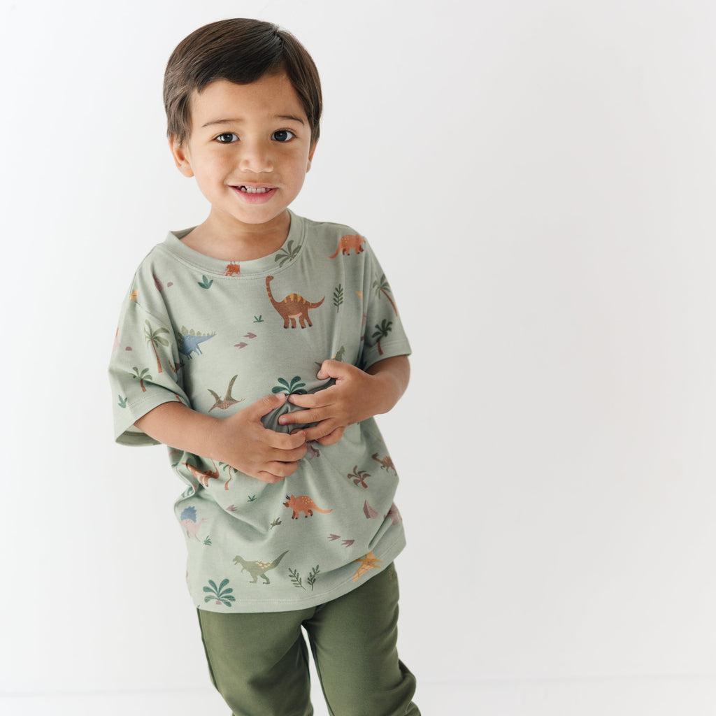 Prehistoric Dinosaurs Shirt