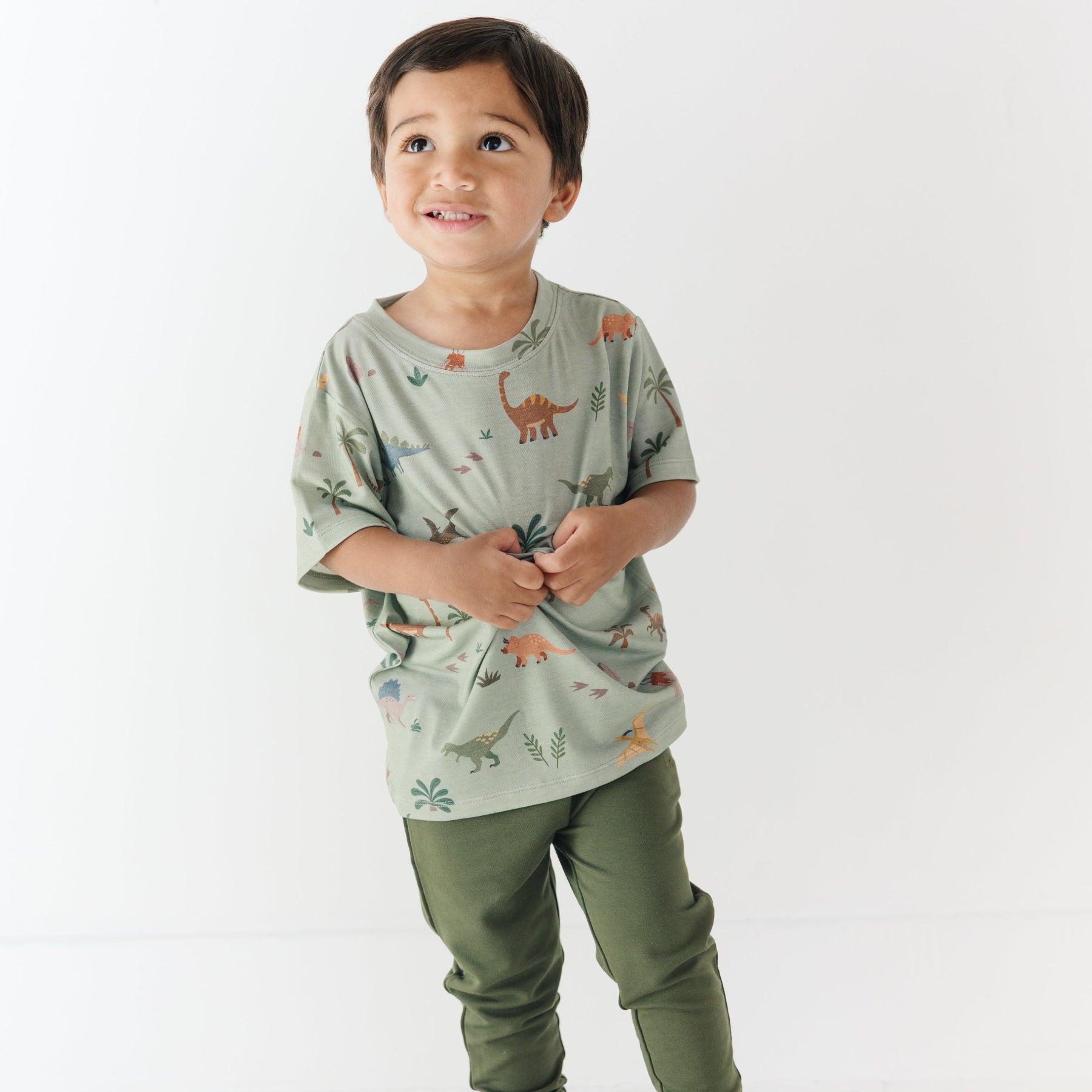 Prehistoric Dinosaurs Shirt