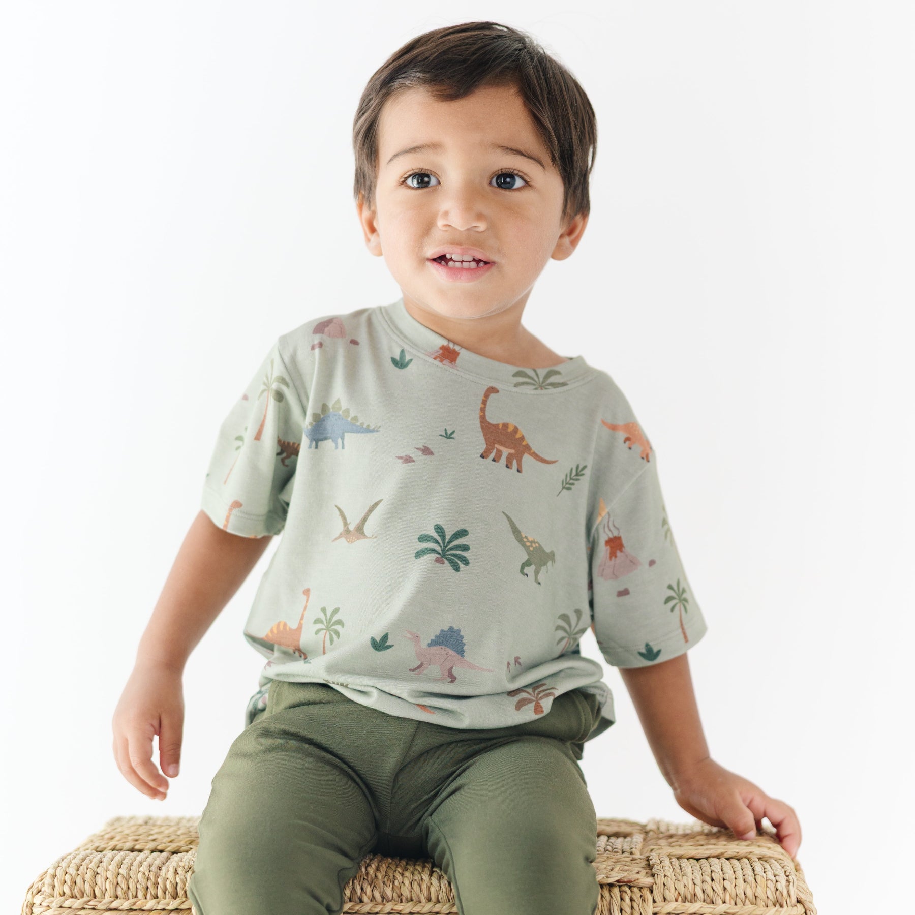 Prehistoric Dinosaurs Shirt