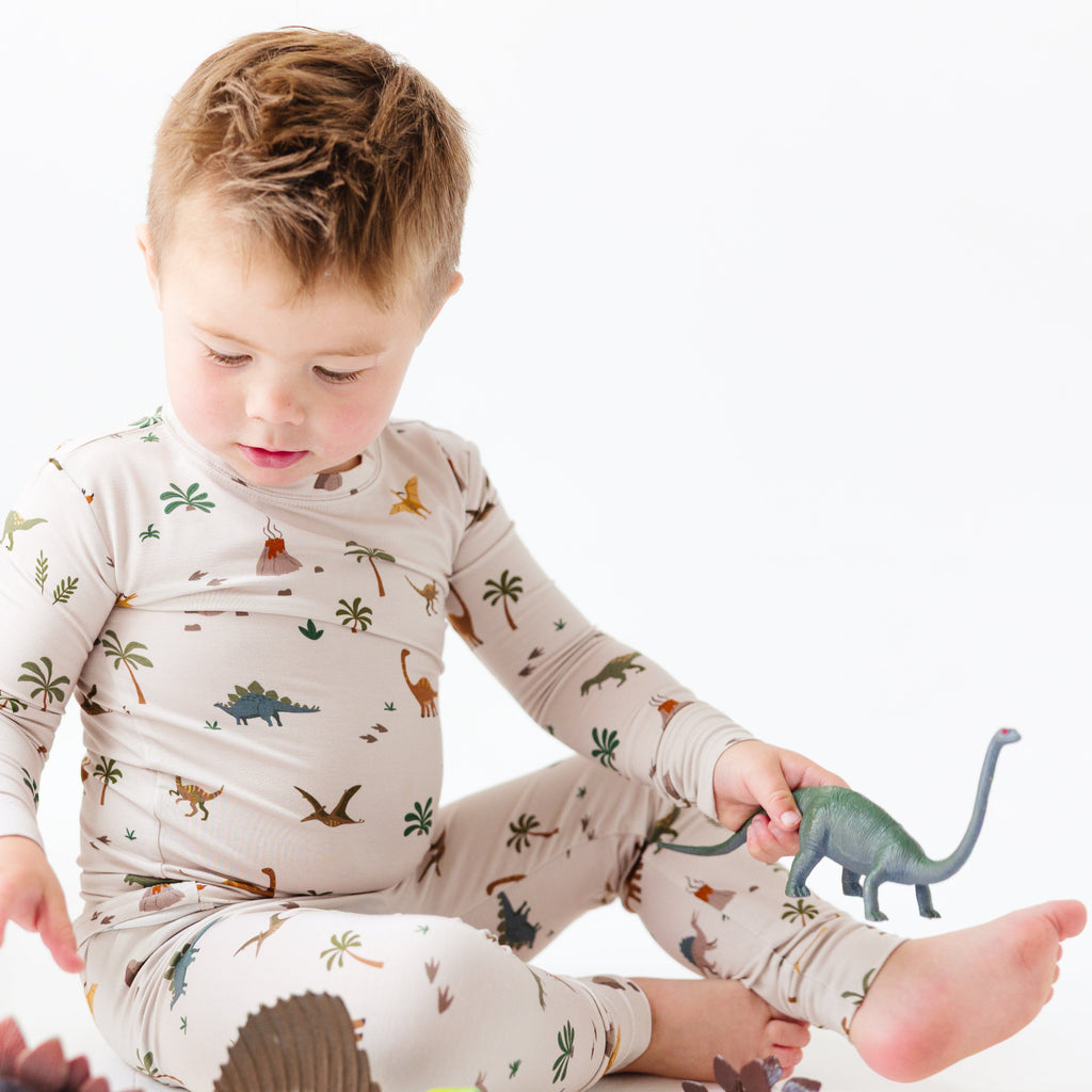 Prehistoric Dinosaurs Two-Piece Set