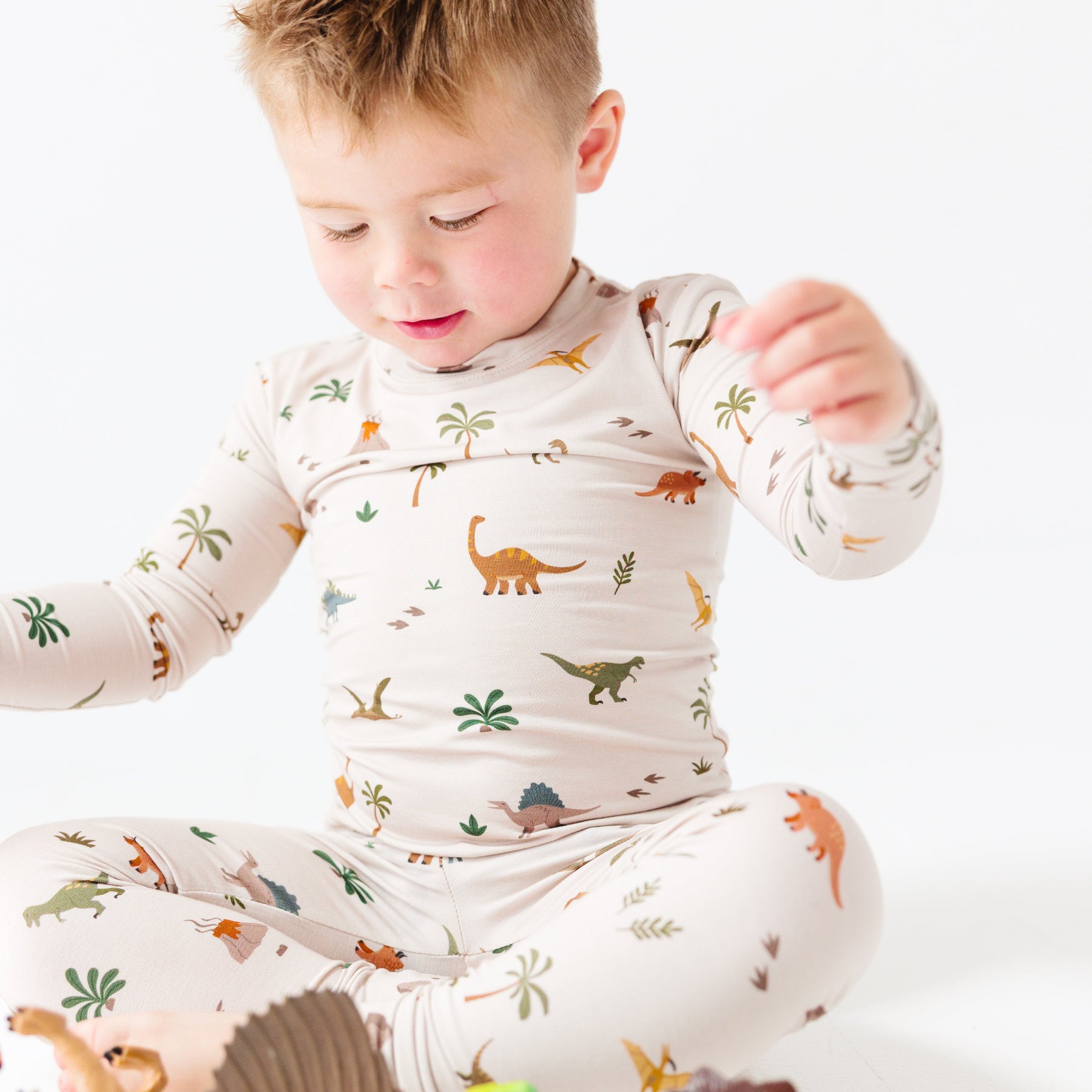 Prehistoric Dinosaurs Two-Piece Set