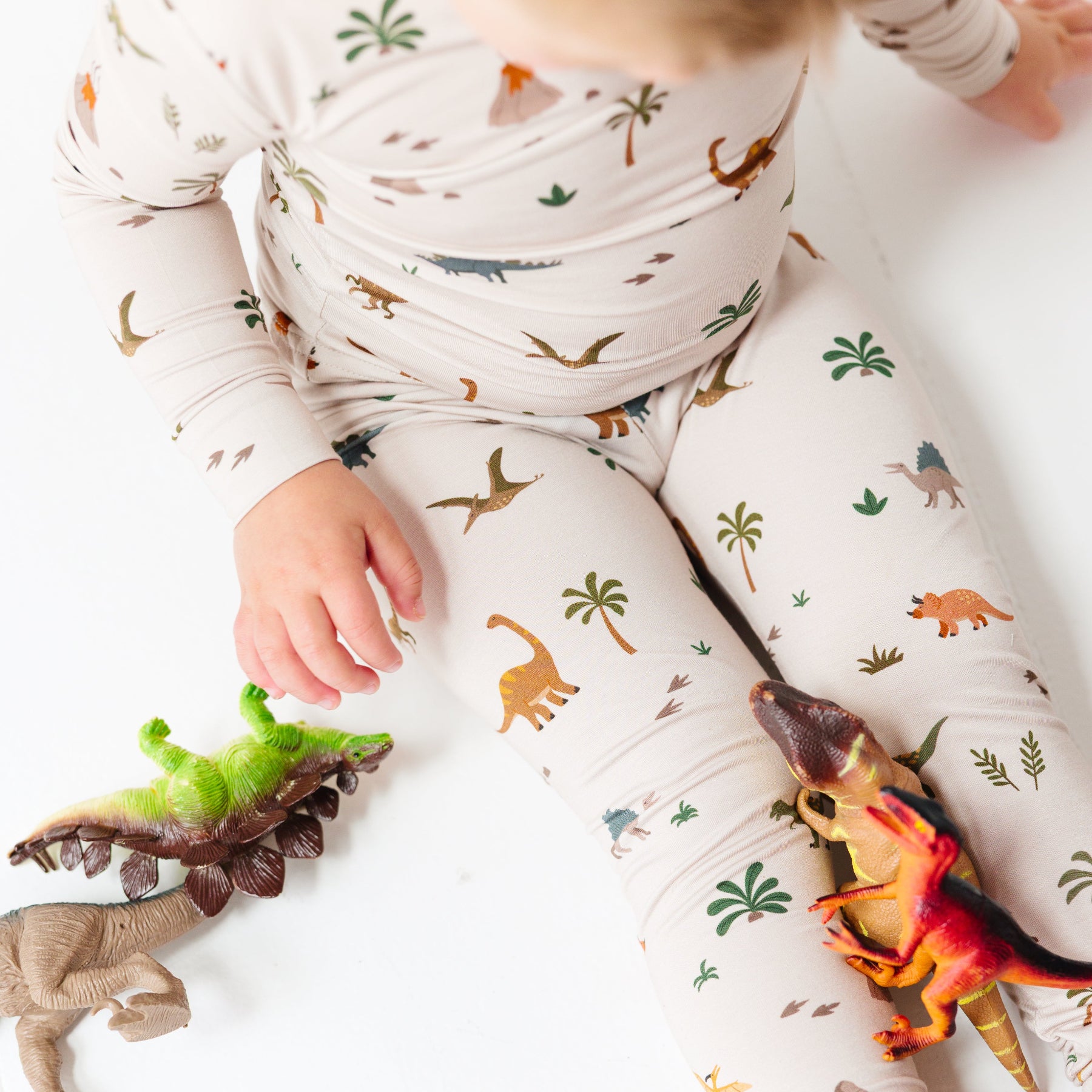 Prehistoric Dinosaurs Two-Piece Set