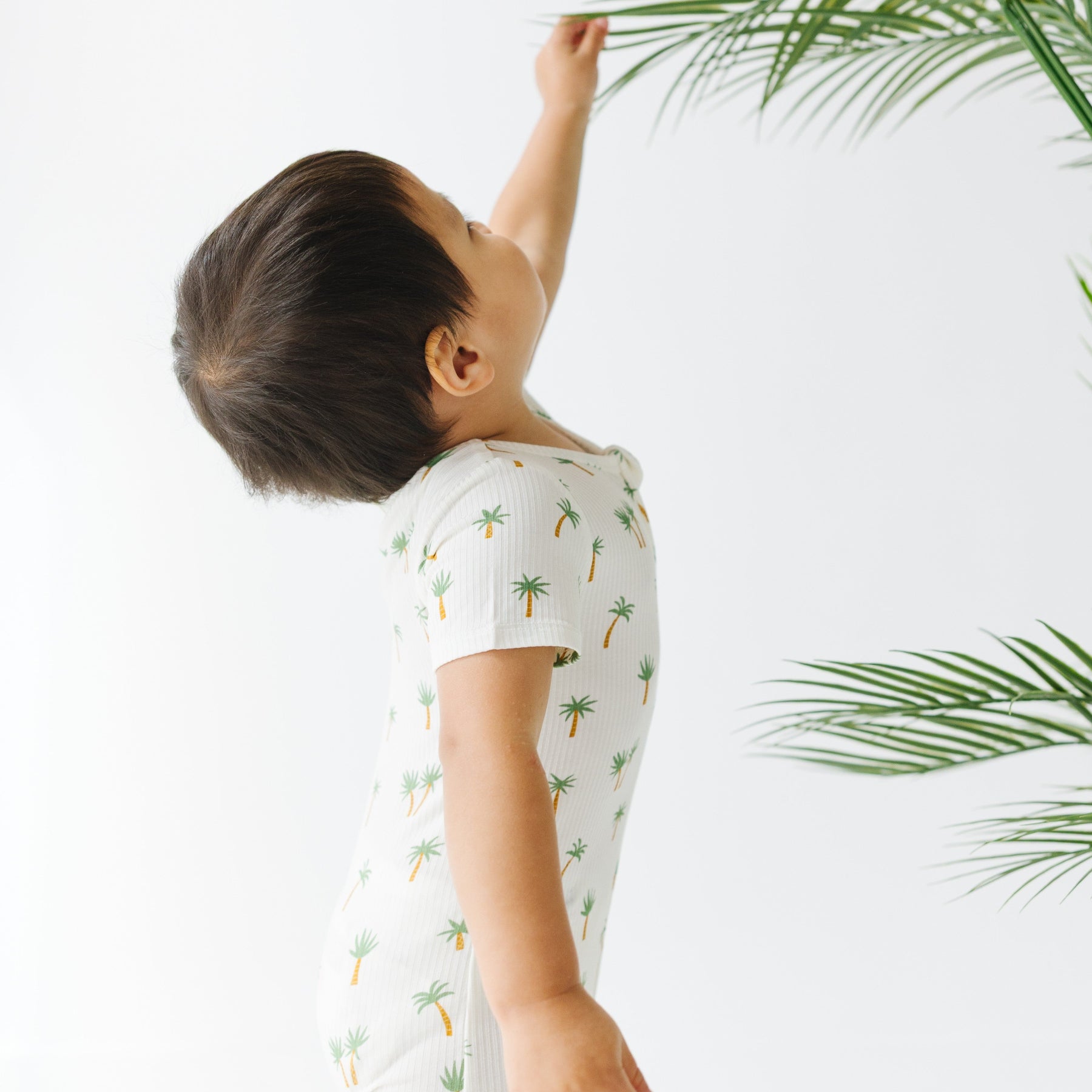 Island Palm Trees Small Ribbed Summer Zip Romper
