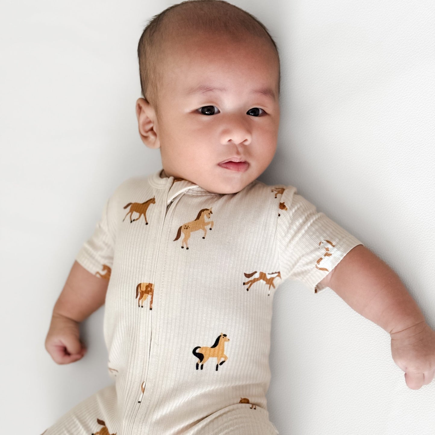 Horses Small Ribbed Summer Zip Romper