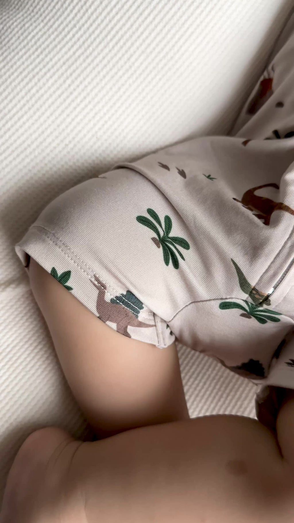 Prehistoric Dinosaurs Summer Zip Romper