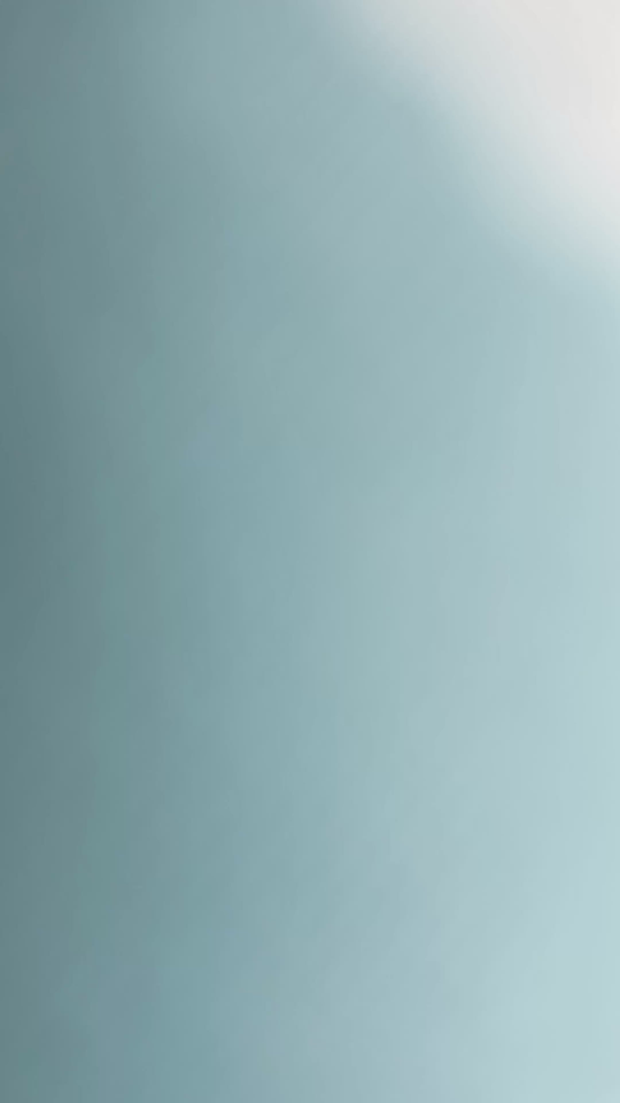 Dragons Sleep Sack (1.0 TOG)