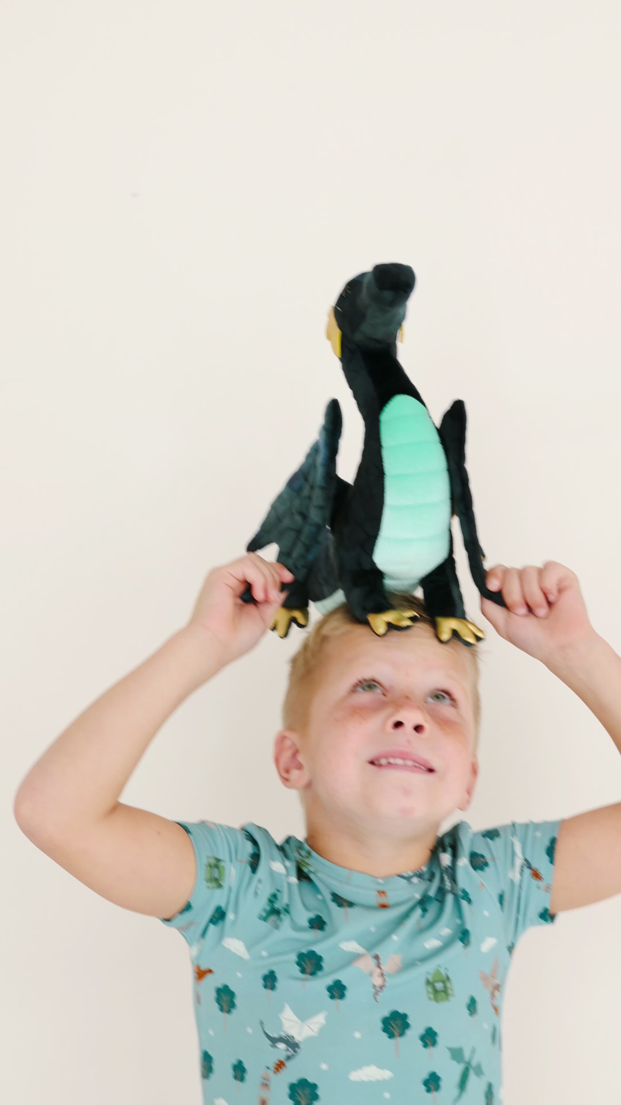 Dragons Shorts Two-Piece Set