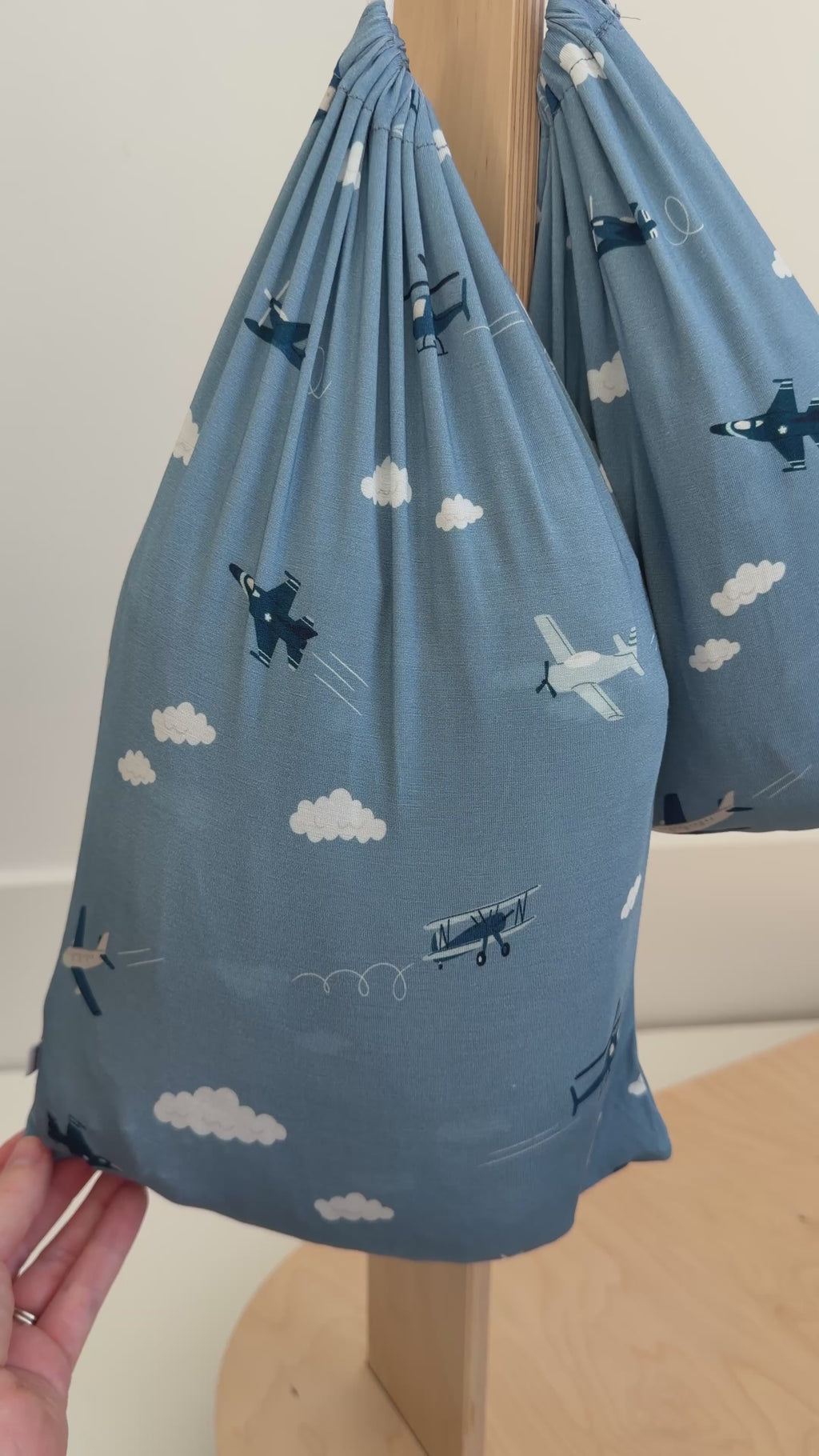 Take Flight Blue Twin Sheet With Pillow Case