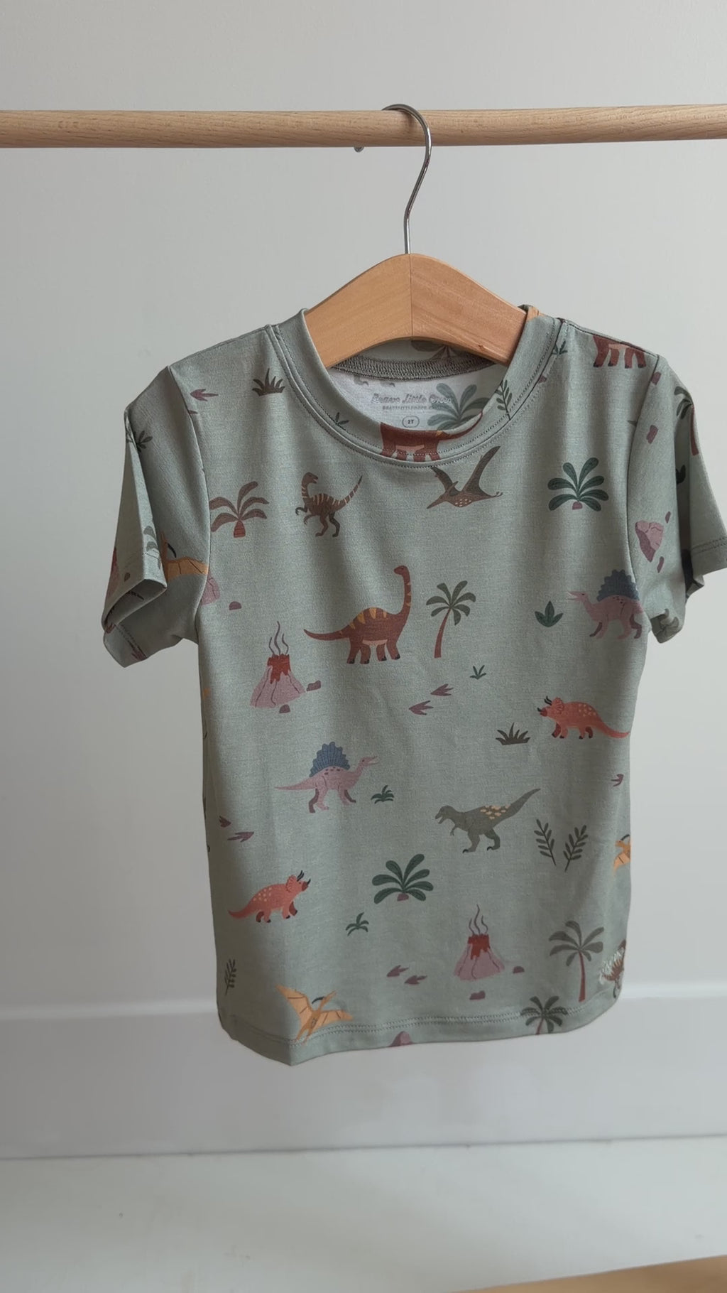 Prehistoric Dinosaurs Shirt