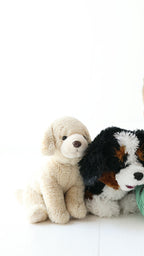Dogs Green Small Ribbed Two-Piece Set