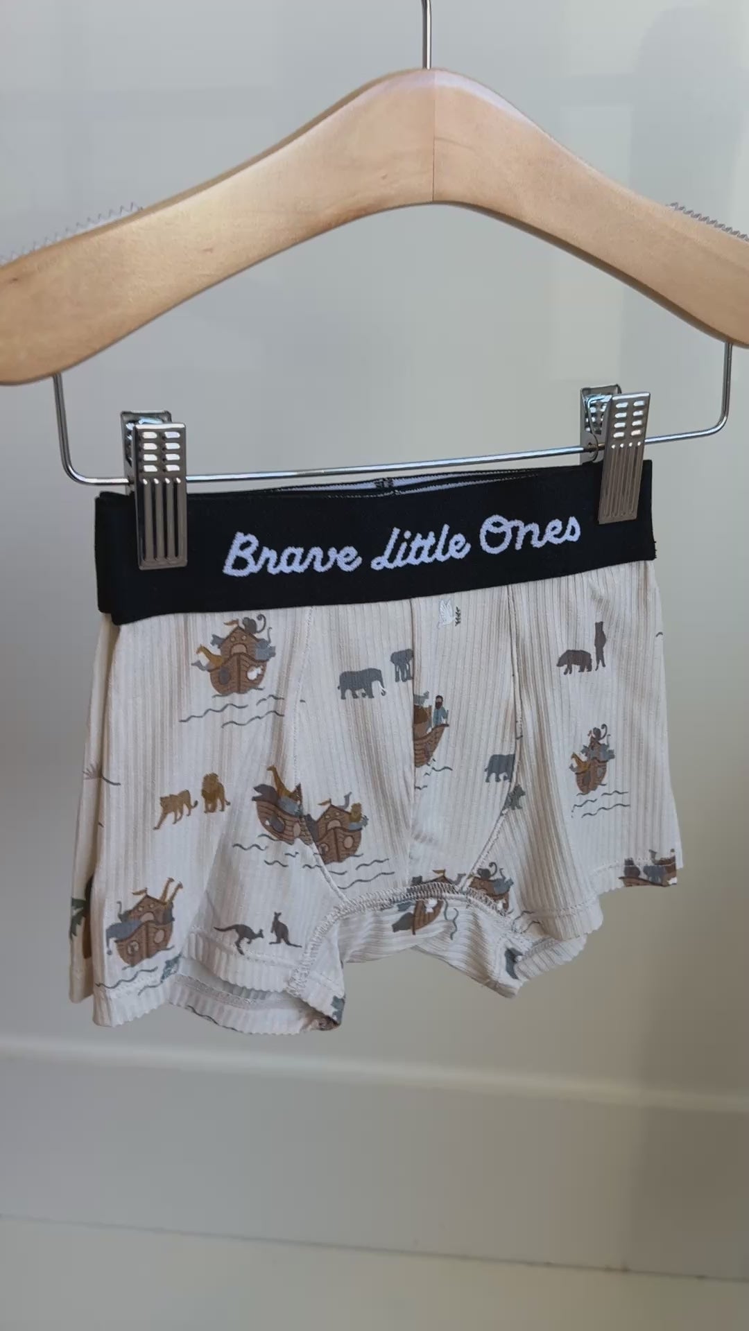 Noah's Ark, Zoo Day and Tarragon Green Small Ribbed Boxer Brief 3 pack