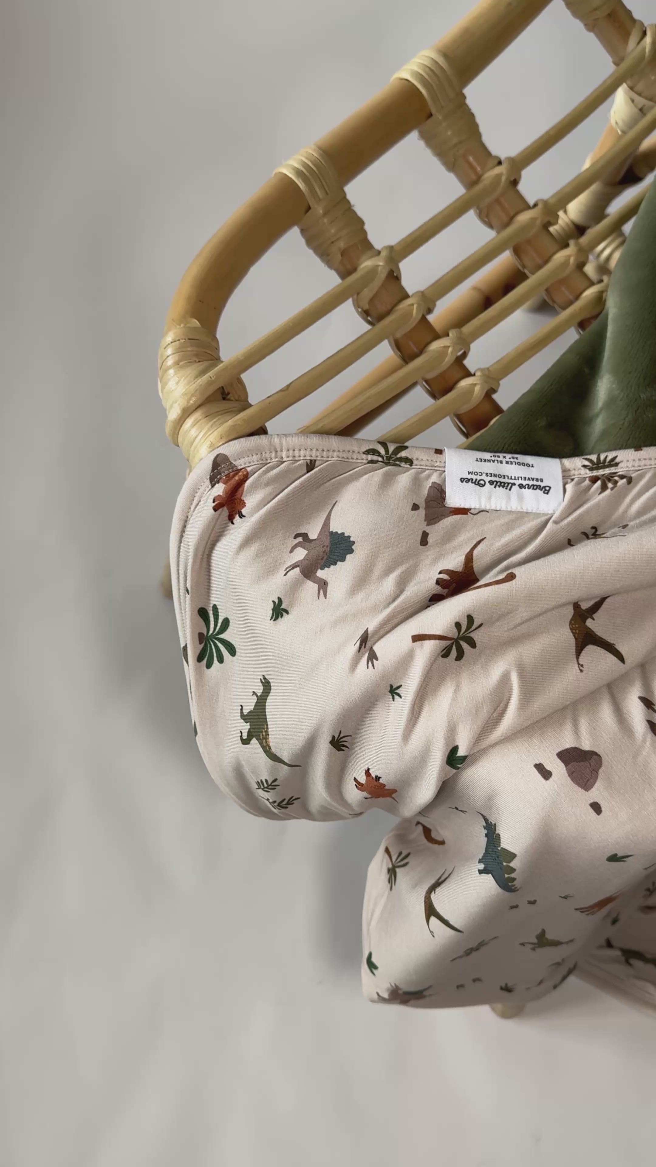 Prehistoric Dinosaurs Toddler Blanket