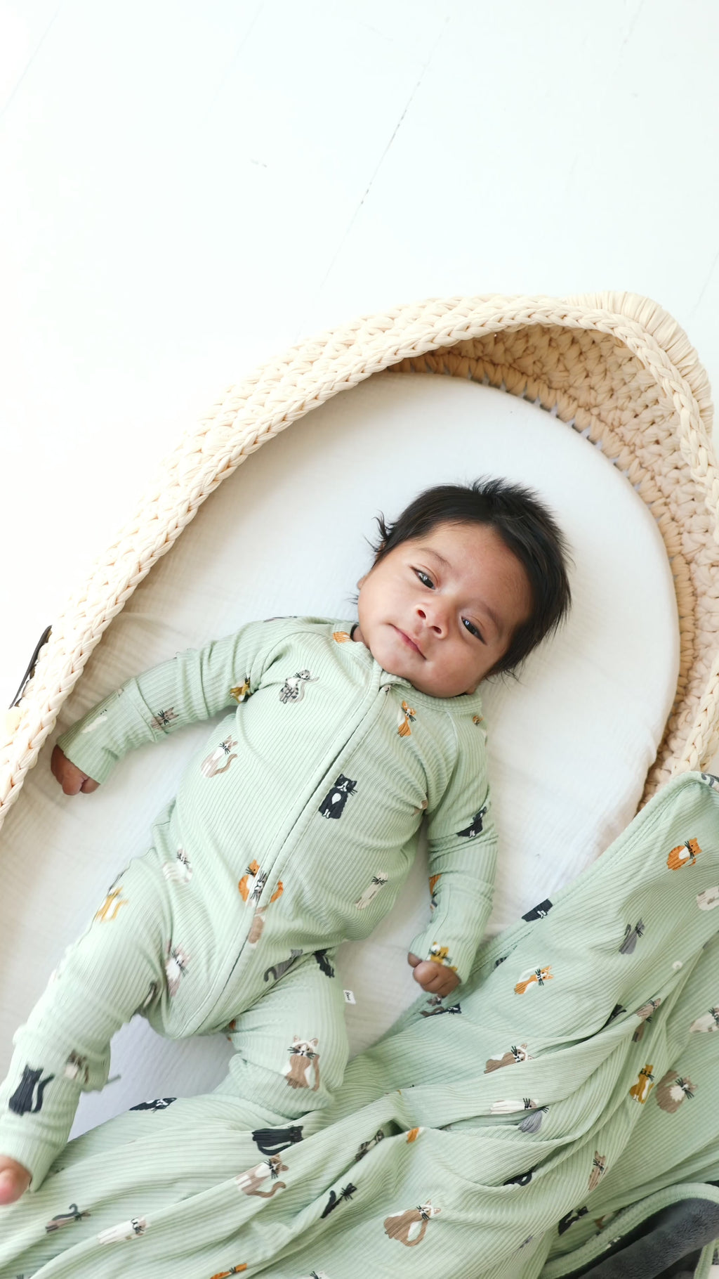 Cats Small Ribbed Toddler Blanket