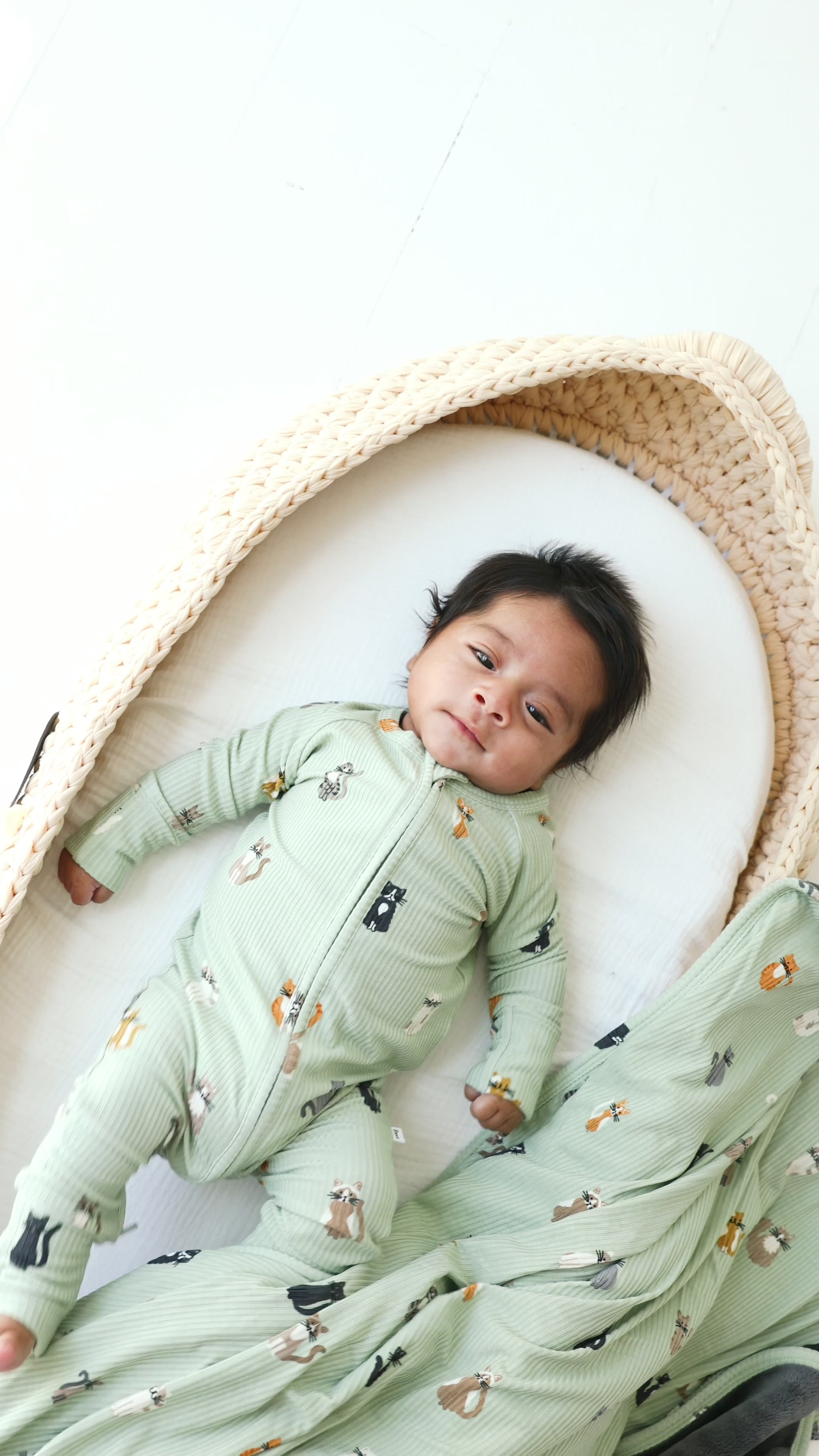 Cats Small Ribbed Toddler Blanket