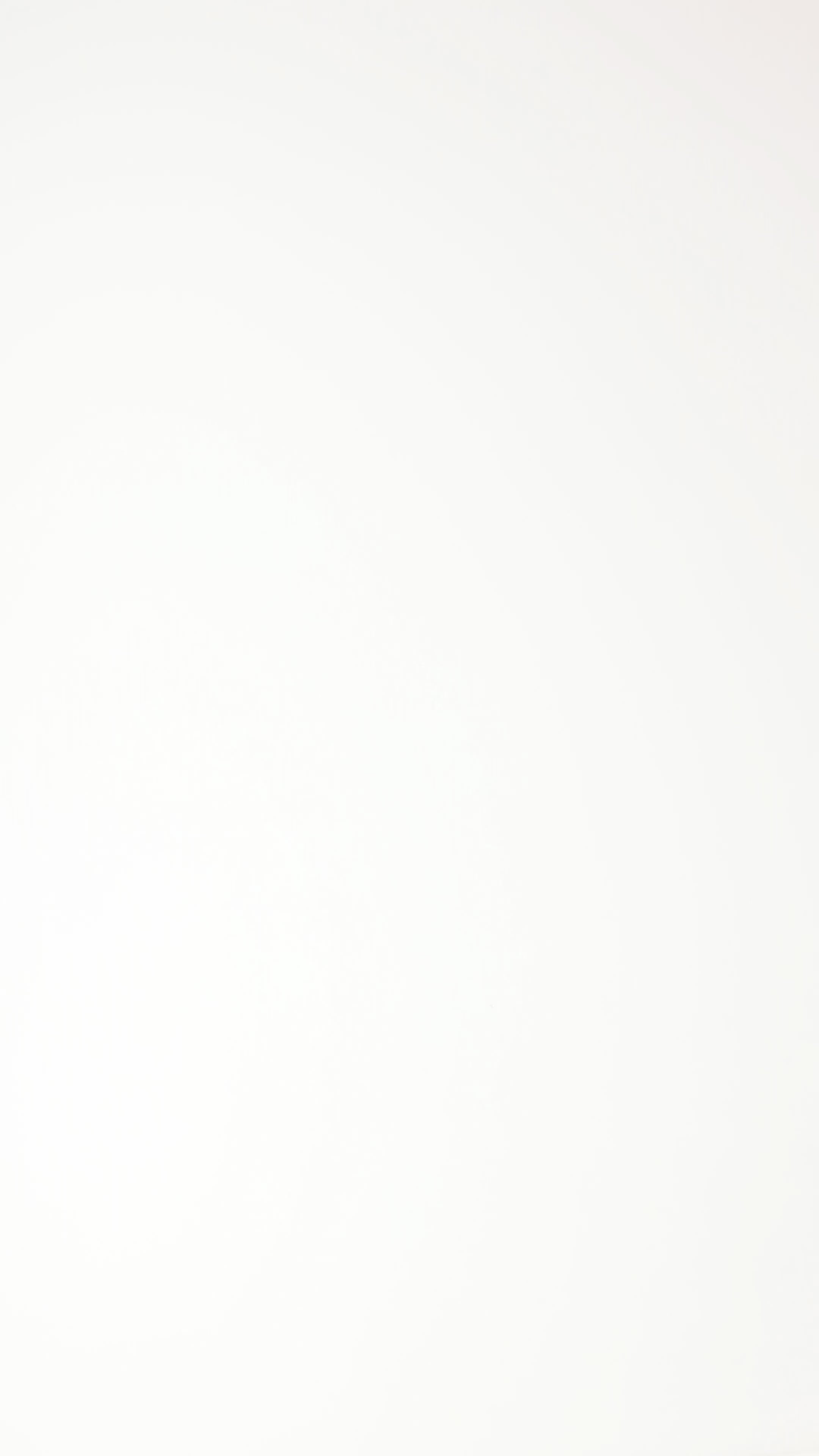 Tarragon Green Small Ribbed Women's Short Sleeve Top