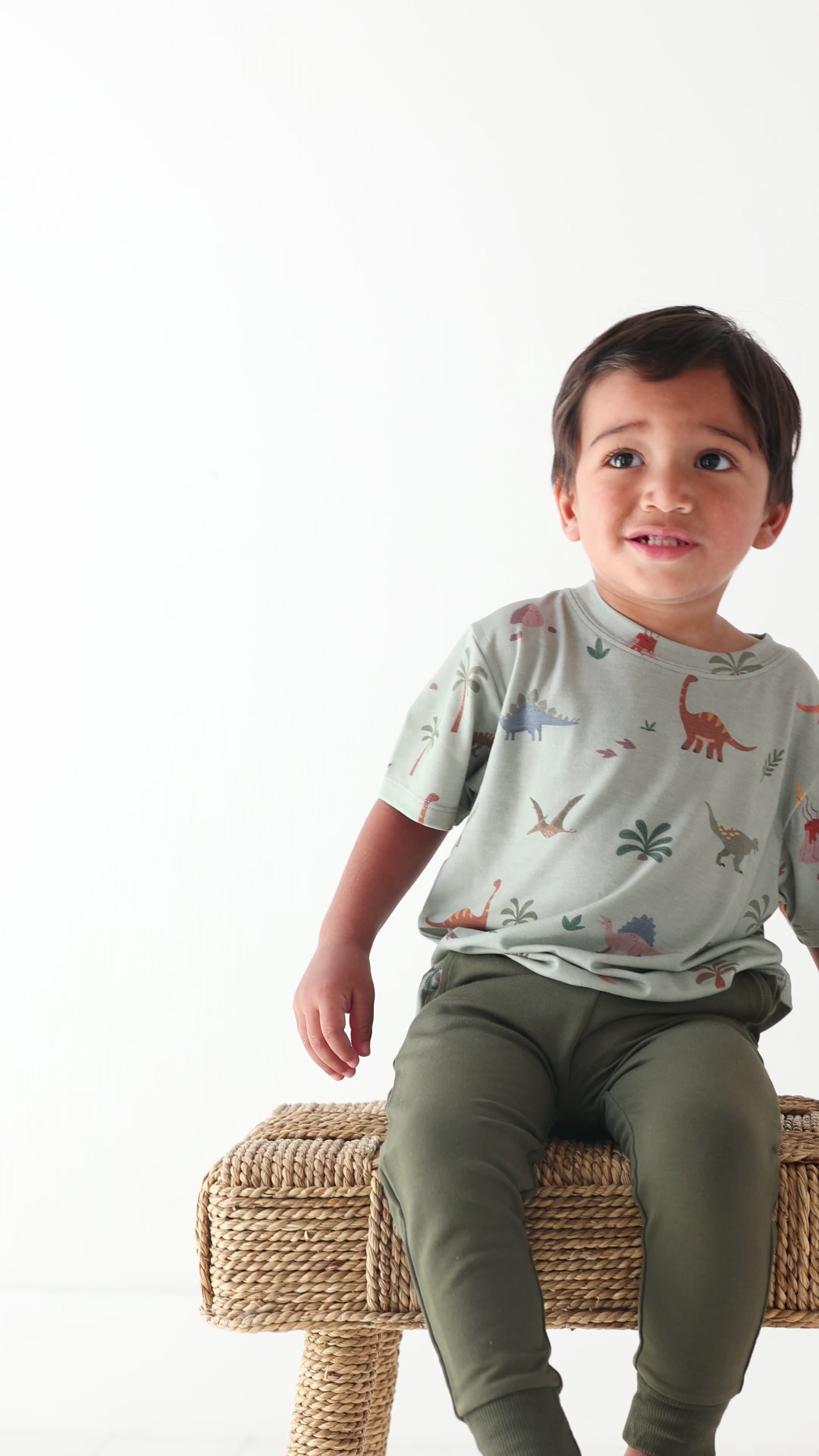 Prehistoric Dinosaurs Shirt
