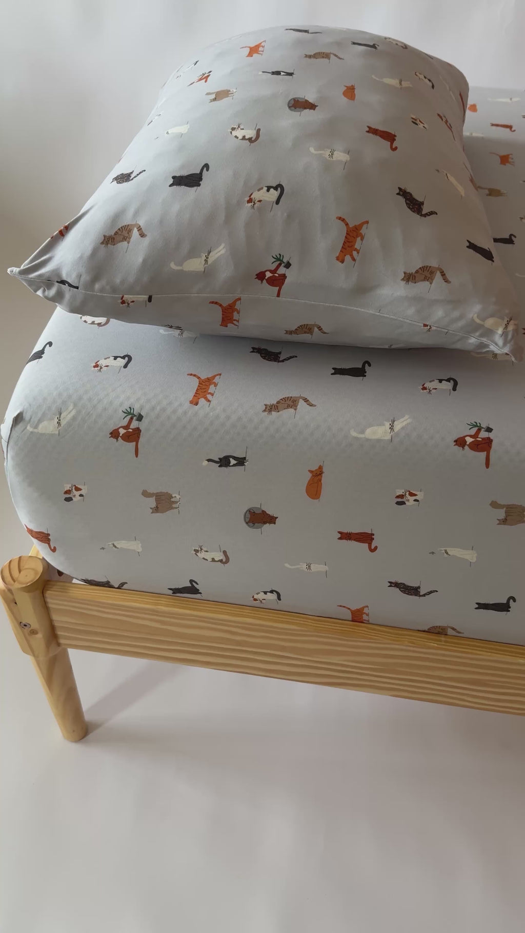Cats Gray Twin Sheet With Pillow Case