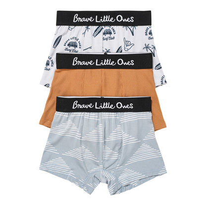 Blue Triangles, Surfs Up, Camel Small Ribbed Boxer Brief 3 Pack